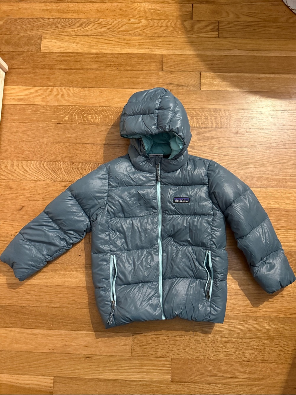 Patagonia Kids' Teal Hooded Puffer Jacket Size 5T